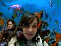 videos de Apple Store Fun 1