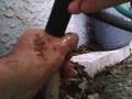 A/C condensate drain cleaning video