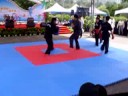 中華武術散打搏擊協會2008K-1優勝《排灣勇者》楊東雄，2007北京格鬥優勝《格鬥小天王》范仲杰率本會黑、褐帶好手黃國洋、鄭宇哲、張傑、阿岳、阿倫等做散打搏擊系列精采展演