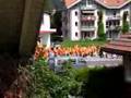 EM-08-Holland-Fans-i