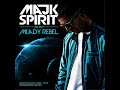 Mladý rebel kraluje ft Pepe Cotti - Majk Spirit