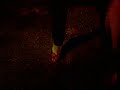 Shireen lost the BOW off her SHOE Shireen lost the BOW off her SHOE