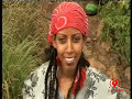 OROMO, Ambulii tiyya