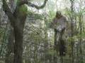 Nick Mclinktock's Backyard Stunt Pogo Sesson on the Vurtego