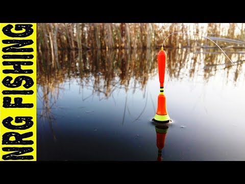 рыбалка на крупного карася рыбалка на крупного карася