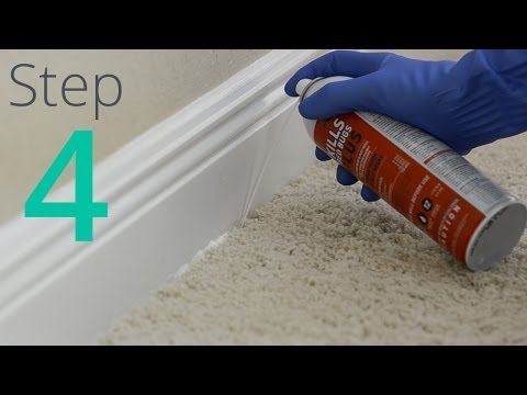 how to isolate bed bugs