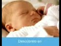 En el vientre materno - 6/11