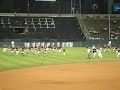 LEONES DEL CARACAS - VENEZUELA