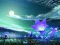 Remember This Night- Chill out Mix