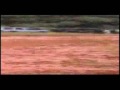 Trooper Indonesia Fun Off Road Sept 05 part3