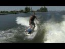 Diesel Surf Dog