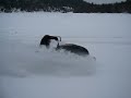 snowhawk