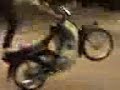 budak Jitra scOrpion