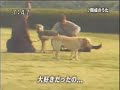 kaisei no uta
