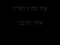 צחי בחוץ לארץ/ אודי שרבני