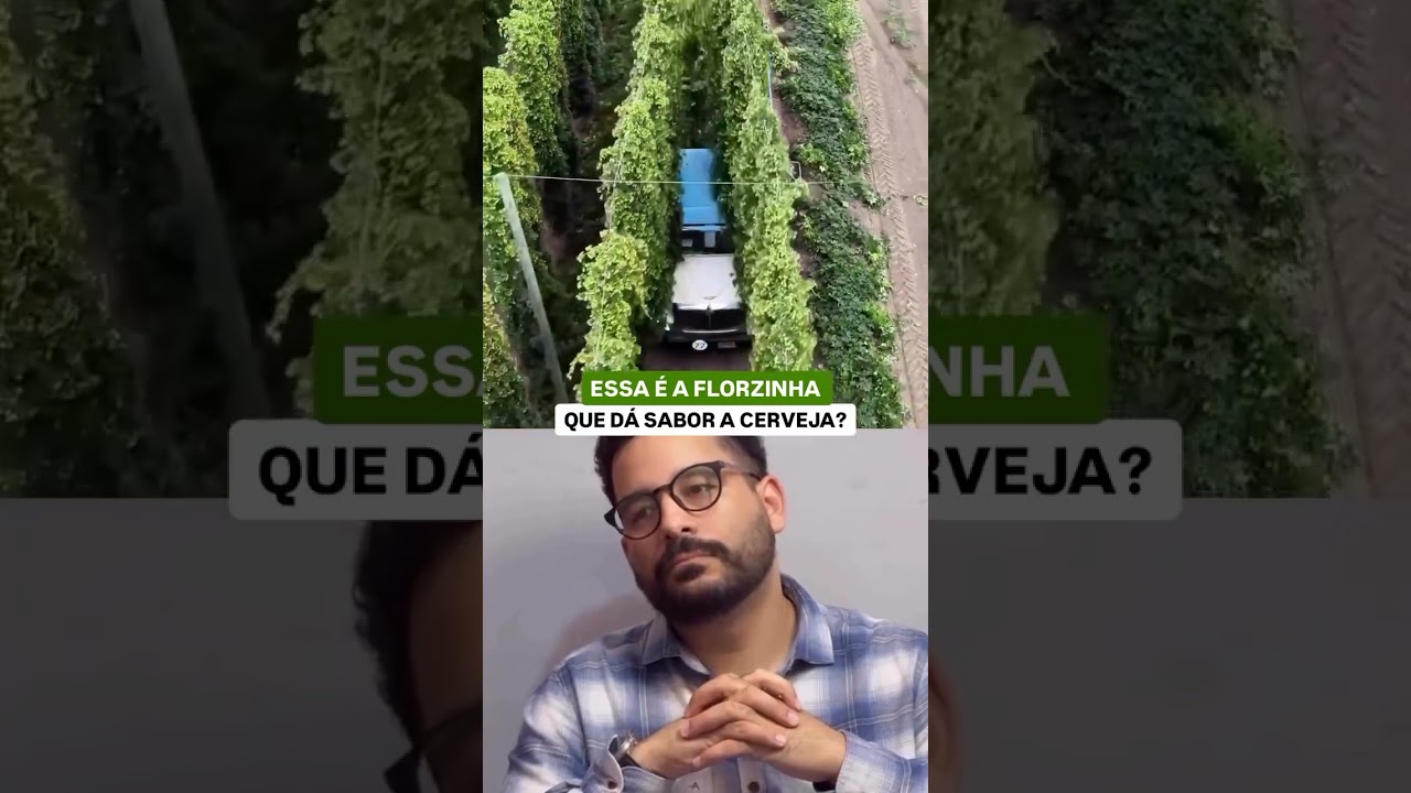 Essa planta muda o sabor da cerveja 🍺🌱 #Agro #Curiosidades #Cerveja