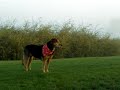 Our Dear Freda Our Dear Freda