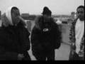 Diverse Elegance Cypher