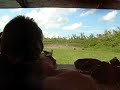 Click here to watch this video Lillith and I at Markham 2