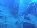 when i was asked in dec. 2002 whether i fancied going to bikini atoll to dive i jumped at the chance....my bank balance is still recovering though! :)