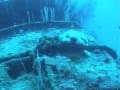 Bikini Atoll Diving - 2003 (part1)