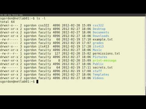 how to set permissions in linux