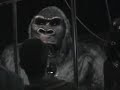 Universal Studios King Kong Universal Studios King Kong