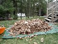 Raking Leaves