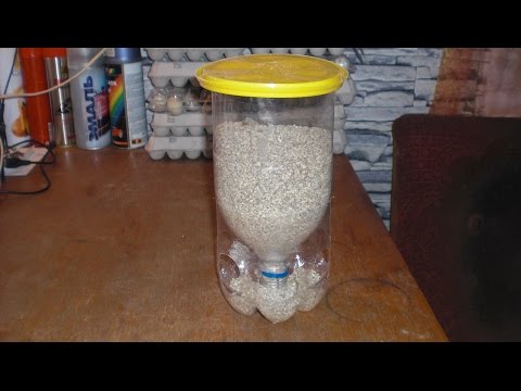 Как сделать кормушку для маленьких цыплят Как сделать кормушку для маленьких цыплят