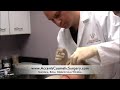 Restylane and Botox Frown Lines Glabella Wrinkles Restylane and Botox Frown Lines Glabella Wrinkles