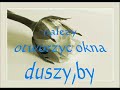 Dla prawdziwej przyjaci�?ki...