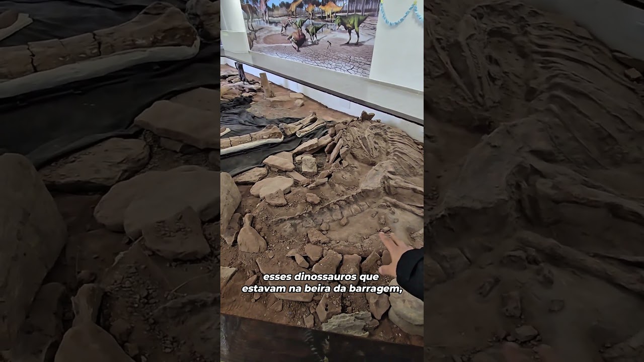 Museu na Argentina