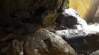 VIDEOS + 37 Avakas George Trail Paphos - Water features Slow Modus 18.06.2020 013