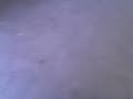 pemex pelea ;-).3gp