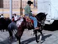 FERIA ZACUALPAN EDO. MEX. 2009 PART. 4.avi