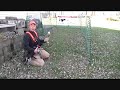 Puppy Retrieving Training Tip by Pointer Supply