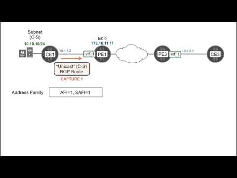 how to troubleshoot bgp in juniper