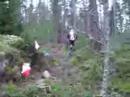 Orienteering
