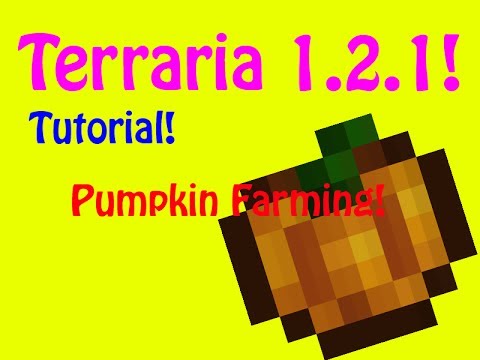how to harvest pumpkins in terraria
