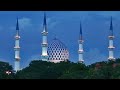 Brenda Aaronson video 2
