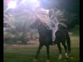فتى الخرج
