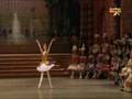 Ekaterina Osmolkina - Aurora variation from III act