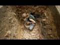 Archaeology program unearths MSU history