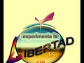 Circulo De Amistad Libertad