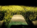Fongicide colza avec Fendt 512 + John Deere 512 Fongicide colza avec Fendt 512 + John Deere 512