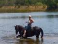 My Love of My Horse!