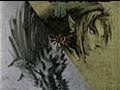 CGR Undertow - THE LEGEND OF ZELDA: TWILIGHT PRINCESS for Nintendo Wii Video Game Review