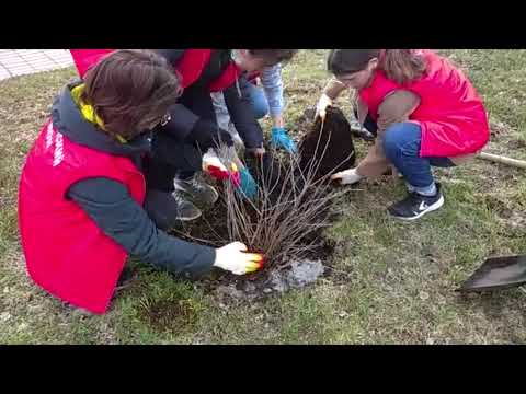 YouTube Трейлер