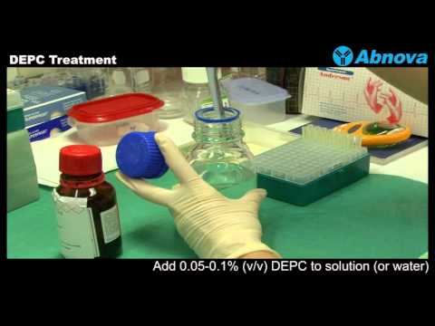 how to treat dna with rnase