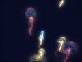 Challenger Deep by Traction and Brainstorm